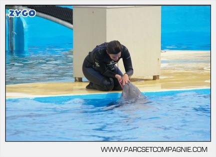 Marineland - Dauphins - Spectacle 17h45 - 2873
