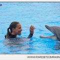 Marineland - Dauphins - Spectacle 17h45 - 2875