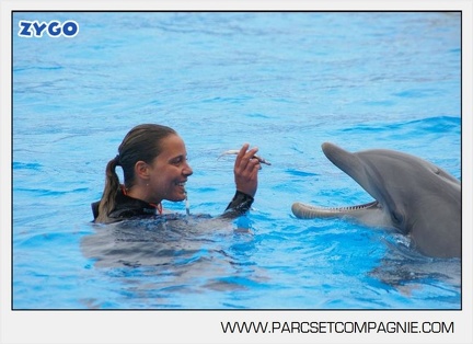 Marineland - Dauphins - Spectacle 17h45 - 2875