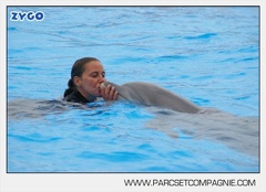 Marineland - Dauphins - Spectacle 17h45 - 2876