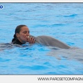 Marineland - Dauphins - Spectacle 17h45 - 2876