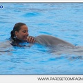Marineland - Dauphins - Spectacle 17h45 - 2877