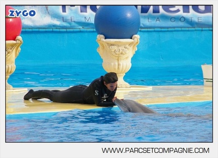 Marineland - Dauphins - Spectacle 17h45 - 2880