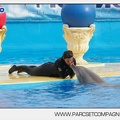 Marineland - Dauphins - Spectacle 17h45 - 2881