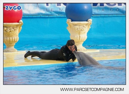 Marineland - Dauphins - Spectacle 17h45 - 2881