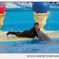 Marineland - Dauphins - Spectacle 17h45 - 2882