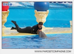 Marineland - Dauphins - Spectacle 17h45 - 2883