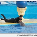Marineland - Dauphins - Spectacle 17h45 - 2883