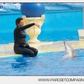 Marineland - Dauphins - Spectacle 17h45 - 2884