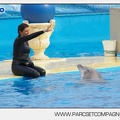 Marineland - Dauphins - Spectacle 17h45 - 2885