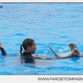 Marineland - Dauphins - Spectacle 17h45 - 2886