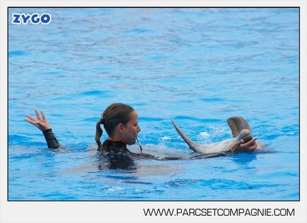 Marineland - Dauphins - Spectacle 17h45 - 2886
