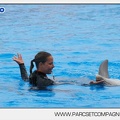 Marineland - Dauphins - Spectacle 17h45 - 2887