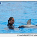 Marineland - Dauphins - Spectacle 17h45 - 2888