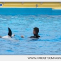 Marineland - Dauphins - Spectacle 17h45 - 2889
