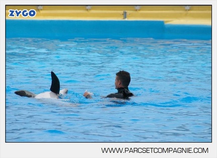 Marineland - Dauphins - Spectacle 17h45 - 2889