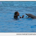 Marineland - Dauphins - Spectacle 17h45 - 2890