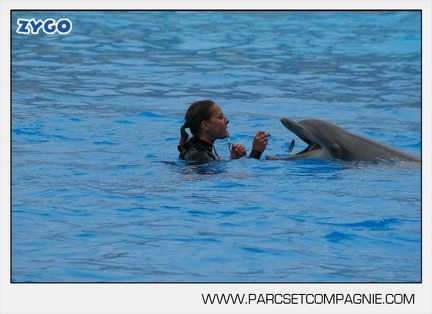 Marineland - Dauphins - Spectacle 17h45 - 2890