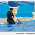 Marineland - Dauphins - Spectacle 17h45 - 2891