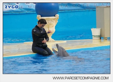 Marineland - Dauphins - Spectacle 17h45 - 2891