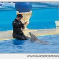 Marineland - Dauphins - Spectacle 17h45 - 2892