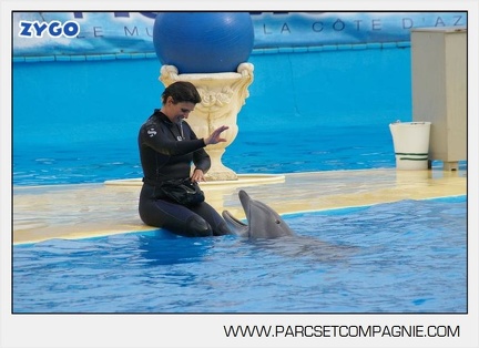Marineland - Dauphins - Spectacle 17h45 - 2892