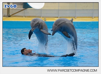 Marineland - Dauphins - Spectacle 17h45 - 2893