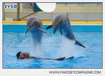 Marineland - Dauphins - Spectacle 17h45 - 2894