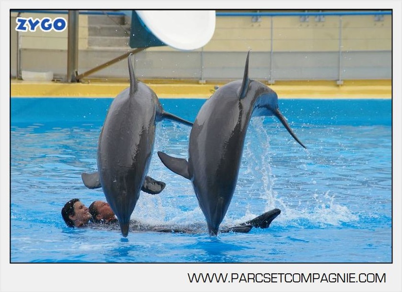 Marineland - Dauphins - Spectacle 17h45 - 2895