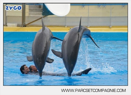 Marineland - Dauphins - Spectacle 17h45 - 2895