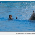 Marineland - Dauphins - Spectacle 17h45 - 2897