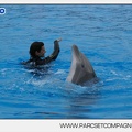 Marineland - Dauphins - Spectacle 17h45 - 2898