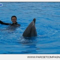 Marineland - Dauphins - Spectacle 17h45 - 2899
