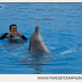 Marineland - Dauphins - Spectacle 17h45 - 2900