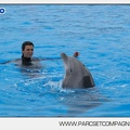 Marineland - Dauphins - Spectacle 17h45 - 2901