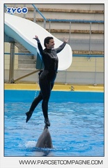 Marineland - Dauphins - Spectacle 17h45 - 2902