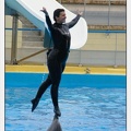Marineland - Dauphins - Spectacle 17h45 - 2902