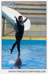 Marineland - Dauphins - Spectacle 17h45 - 2903