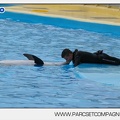 Marineland - Dauphins - Spectacle 17h45 - 2904