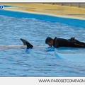 Marineland - Dauphins - Spectacle 17h45 - 2905