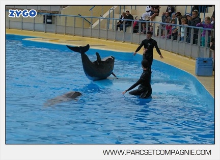 Marineland - Dauphins - Spectacle 17h45 - 2906