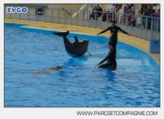 Marineland - Dauphins - Spectacle 17h45 - 2907
