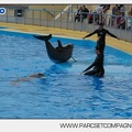 Marineland - Dauphins - Spectacle 17h45 - 2907