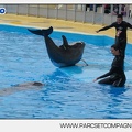 Marineland - Dauphins - Spectacle 17h45 - 2908