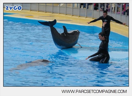 Marineland - Dauphins - Spectacle 17h45 - 2908