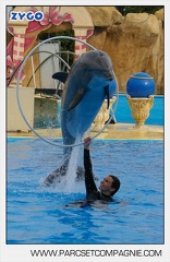 Marineland - Dauphins - Spectacle 17h45 - 2909