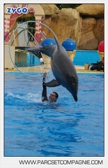 Marineland - Dauphins - Spectacle 17h45 - 2910