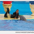 Marineland - Dauphins - Spectacle 17h45 - 2911