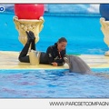 Marineland - Dauphins - Spectacle 17h45 - 2912