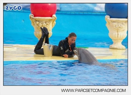 Marineland - Dauphins - Spectacle 17h45 - 2912